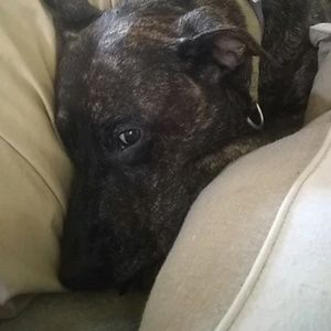 Meet your Posher, Kerry